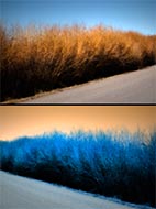 Infrared by Vallarie Enriquez Bike Shadow